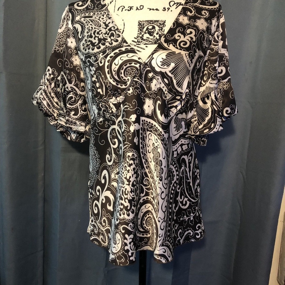 The Limited Multi-Color Paisley VNeck SS Blouse